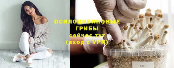 ALPHA PVP Мегион